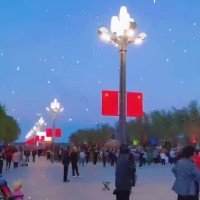 LED高光效路灯厂家价格 森海启航路灯供应商