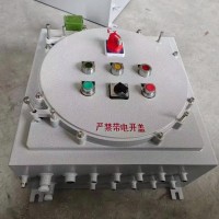 IIC防爆配电箱接线箱厂家定制