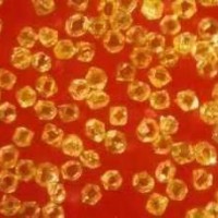 单晶，金刚石，金刚石微粉,黄河旋风，超硬材料，微粉，金刚石锯片,