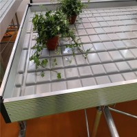 温室大棚移动苗床，助力农业现代化，提升种植效率