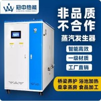 80火排式 全自动 蒸汽发生器 燃油 天然气  液化气  食品加工 模块化  全自动