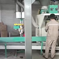 机械厂家供应 预混料包装机 粉体定量包装机 25-50公斤袋装包装机 可定制