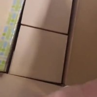 2891003FL SWITCH SFNT 5TX菲尼克斯 交换机
