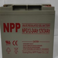 耐普蓄电池NPG12-65规格报价