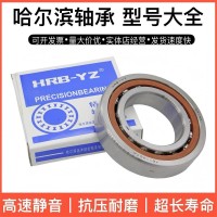 角接触高精密7202 7203 7204 7205 7206 7207 7208 ACTA P5丝杆
