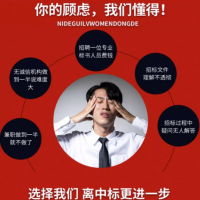 标书制作服务为您项目保驾。