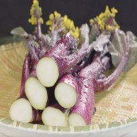 正宗洪山菜苔基地美食与文化的故事、洪山菜苔历史悠久