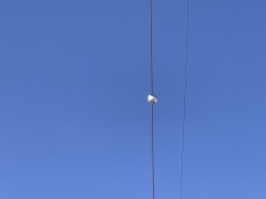 架空导线舞动监测设备，能够快速、准确地判断导线舞动的严重程度