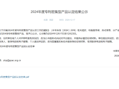 冰轮环境产品入选2024年度专利密集型产品名单