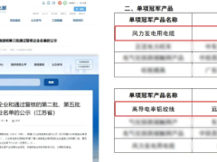 远东股份：乘两会东风，占发展高地
