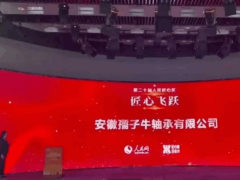 孺子牛轴承荣获第二十届人民匠心奖——匠心飞跃