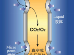 新型膜法加气技术解决半导体纯水防静电难题