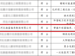 河北海蓝轴承制造有限公司获评省级制造业单项冠军