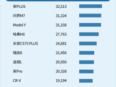 2024年1月国内suv&轿车销量榜：自主集体发力，合资依旧强势
