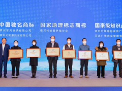 常州东风轴承有限公司注册商标“dfb”获得“中国驰名商标”认证