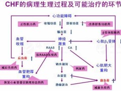 laflamme aero和raas承担无人机研发项目
