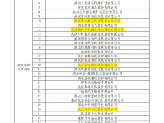 祝贺湖北6家激光企业入选2022年度国家知识产权优势企业名单
