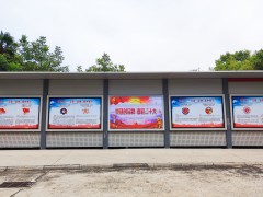 轴研所开展“党建创品牌 喜迎二十大”特色党建品牌集中展示活动