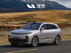 激情与企稳，新势力2024年flag谁能屹立不倒