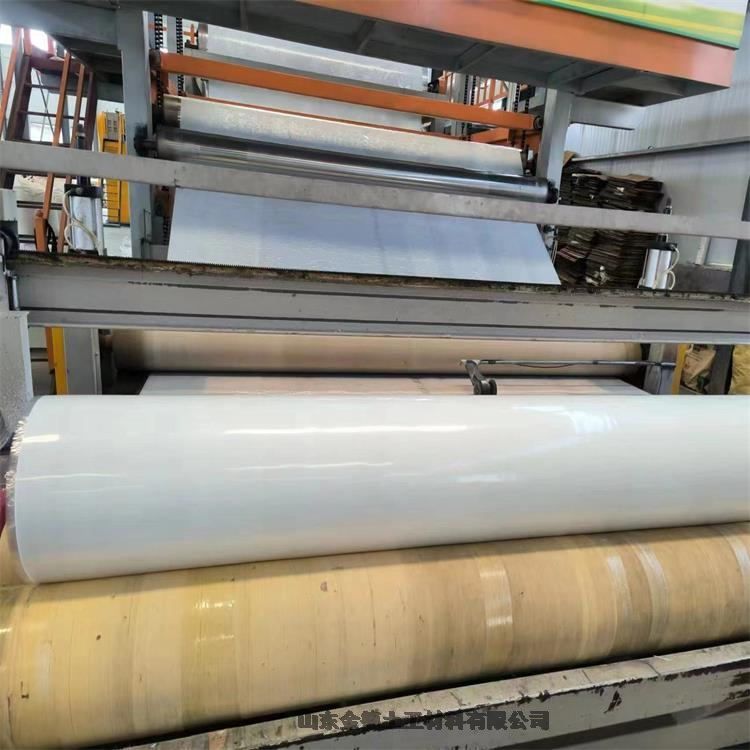 轻质材料施工便捷高效 地铁二衬隔水层1.2mm厚EVA防水板