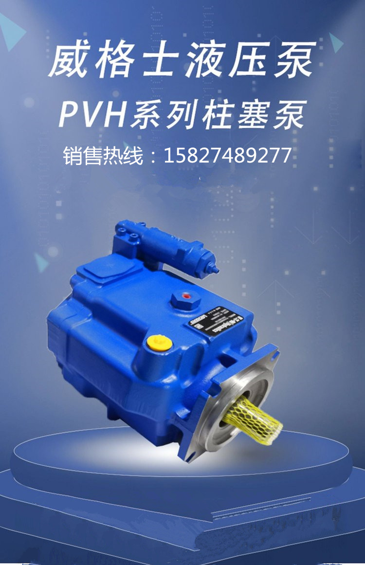 鸿鑫隆液压机械提供HD-A11VLO145EP2/11R-NTC12N00铸造辉煌